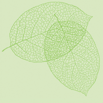 Aktuelles aus dem Waldcafe Mustin